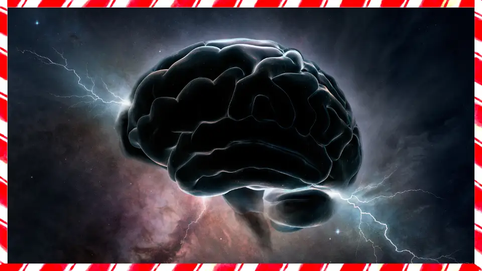 5 Tips for Avoiding the Christmas Crossfire